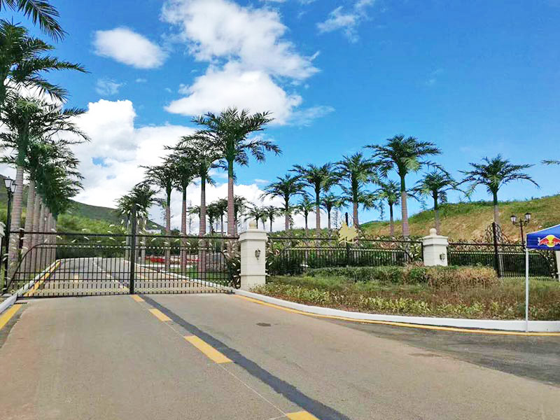 河源仿真树